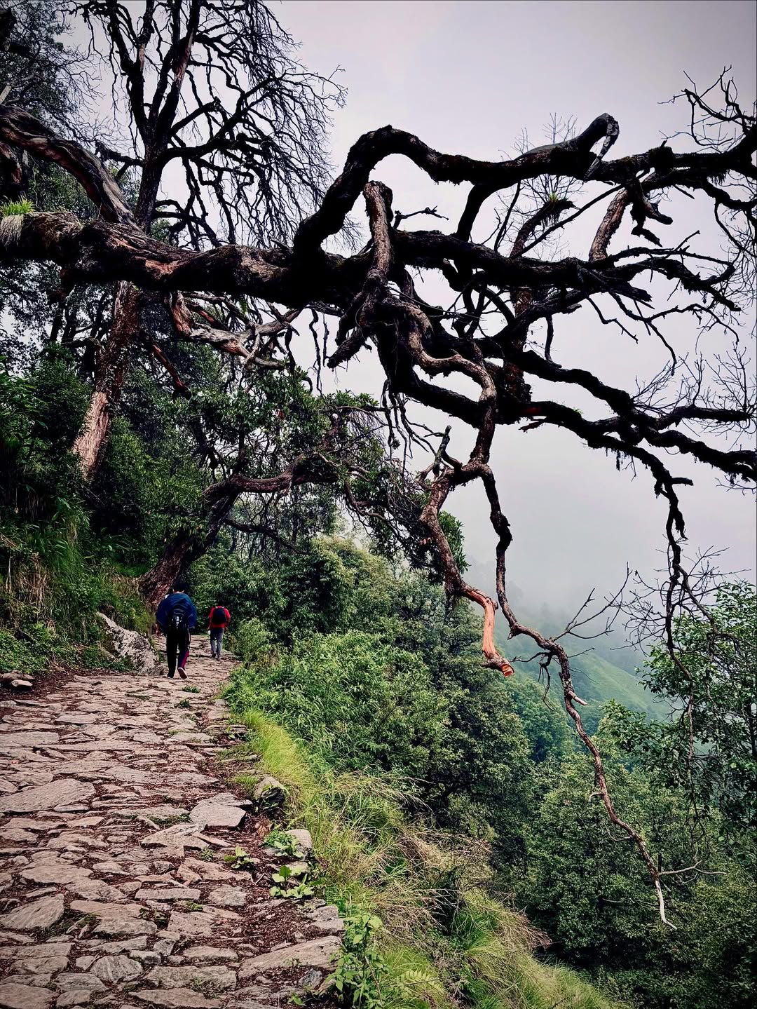 madhmaheshwar tour package